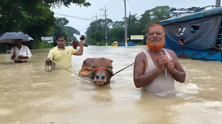 গোয়ালঘর ভেসে গেছে, স্বপ্নও হারিয়েছে মানুষ